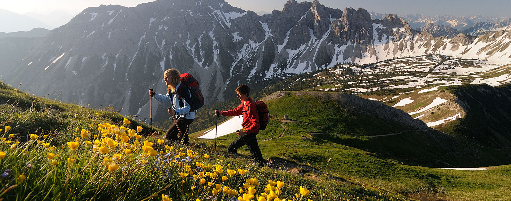 4_haus-scheidle_sommer-header